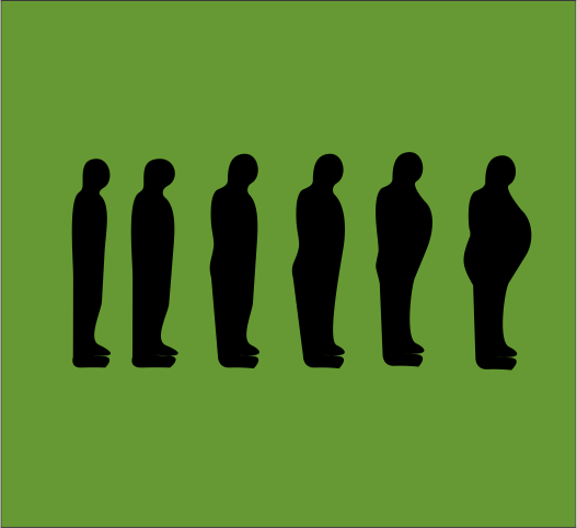 Evolucion II