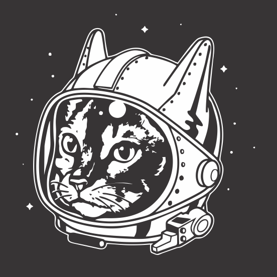 Nasa Cat