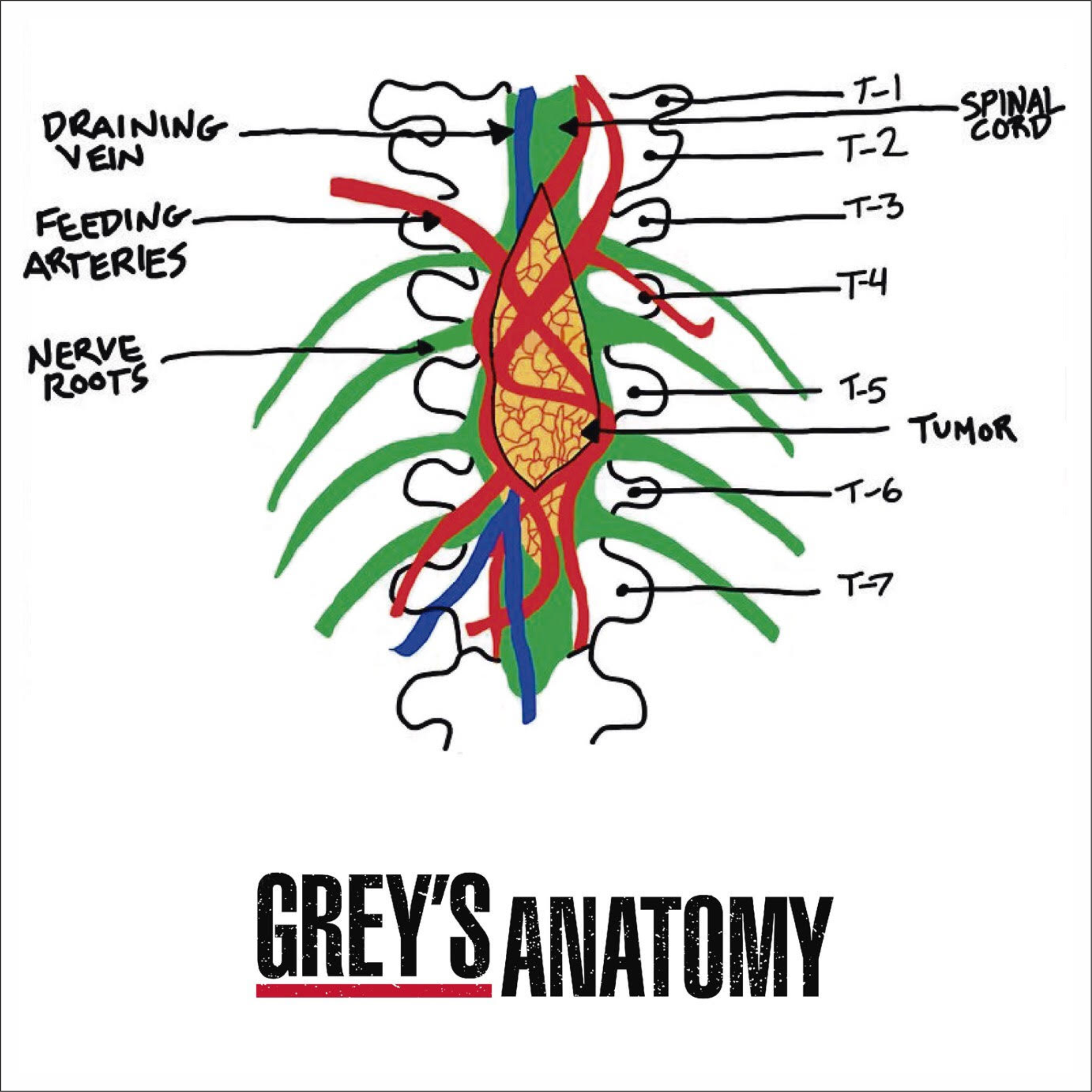 Greys Anatomy 2